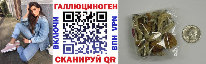 площадка формула  Стерлитамак  Галлюциногенные грибы Magic Shrooms 